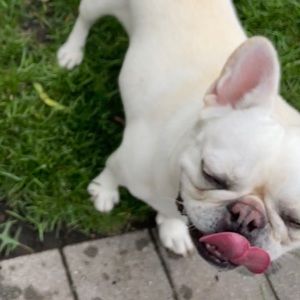 Meet your Posher, April